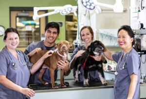 A group of four workers at an animal hospital, with two mixed-breed dogs